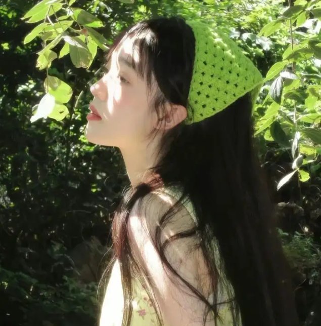 阿妮塔与加里波第